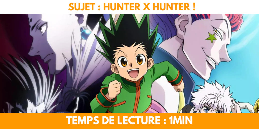 Hunter x Hunter : le retour de l'animé enfin annoncé ? – Artpixe
