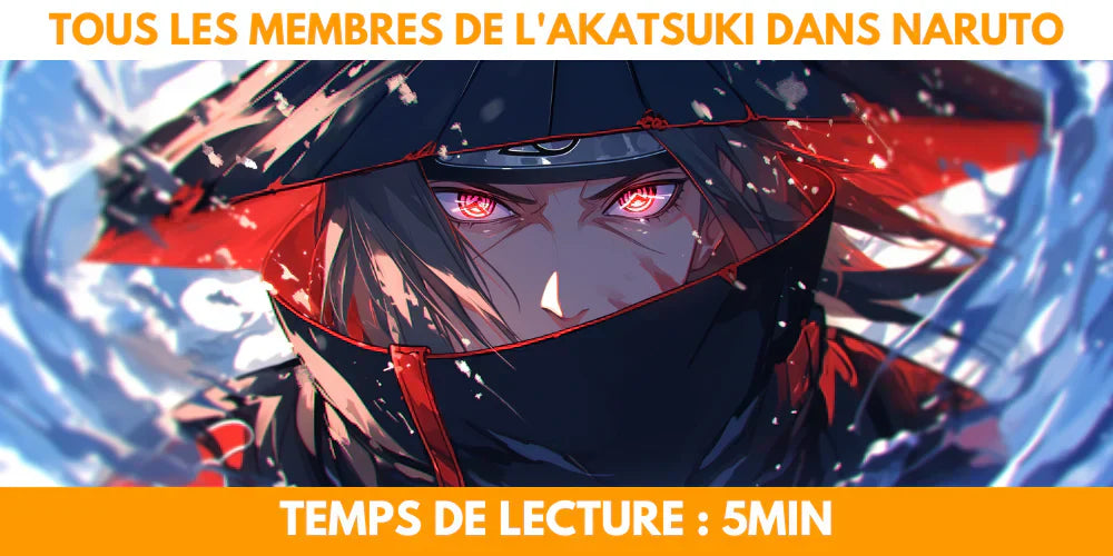 Membres de l'Akatsuki Naruto — Guide complet + Portrait Personnalisé ...